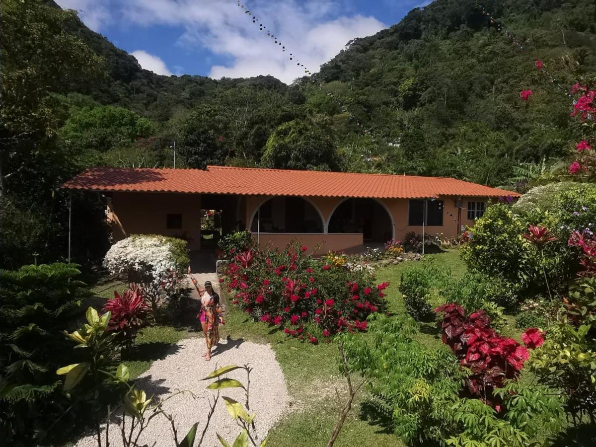 El Valle de Anton El Zumbito 아파트 객실 사진